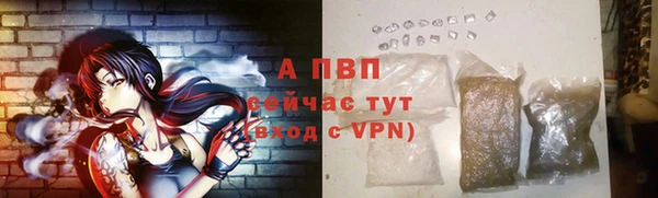 трава Абаза