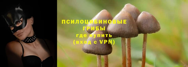 2c-b Алексин