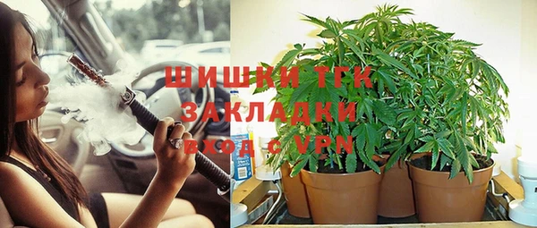 прущие крисы Абинск